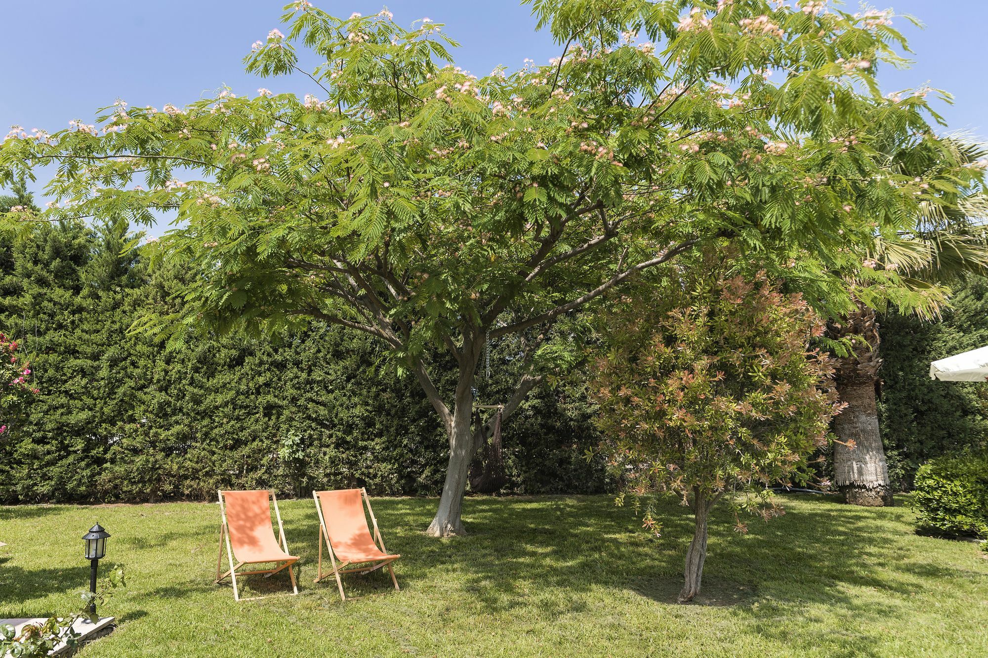 Royal Classico Villa Kolymbia Extérieur photo